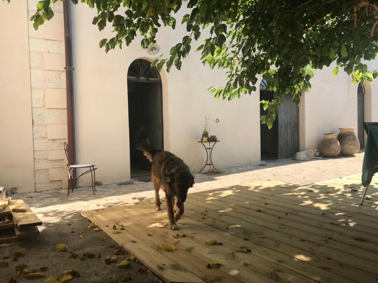 A Loghja Di Cavallo Morto Bonifacio  Exterior photo